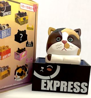 Box Keeper Calico collectible