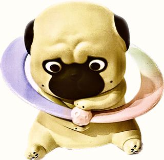 *BAZAHEY (DOG) & Wuhuang (Cat) Roaming the Galaxy!  PUG Studying Galaxy Planet - by 52Toys