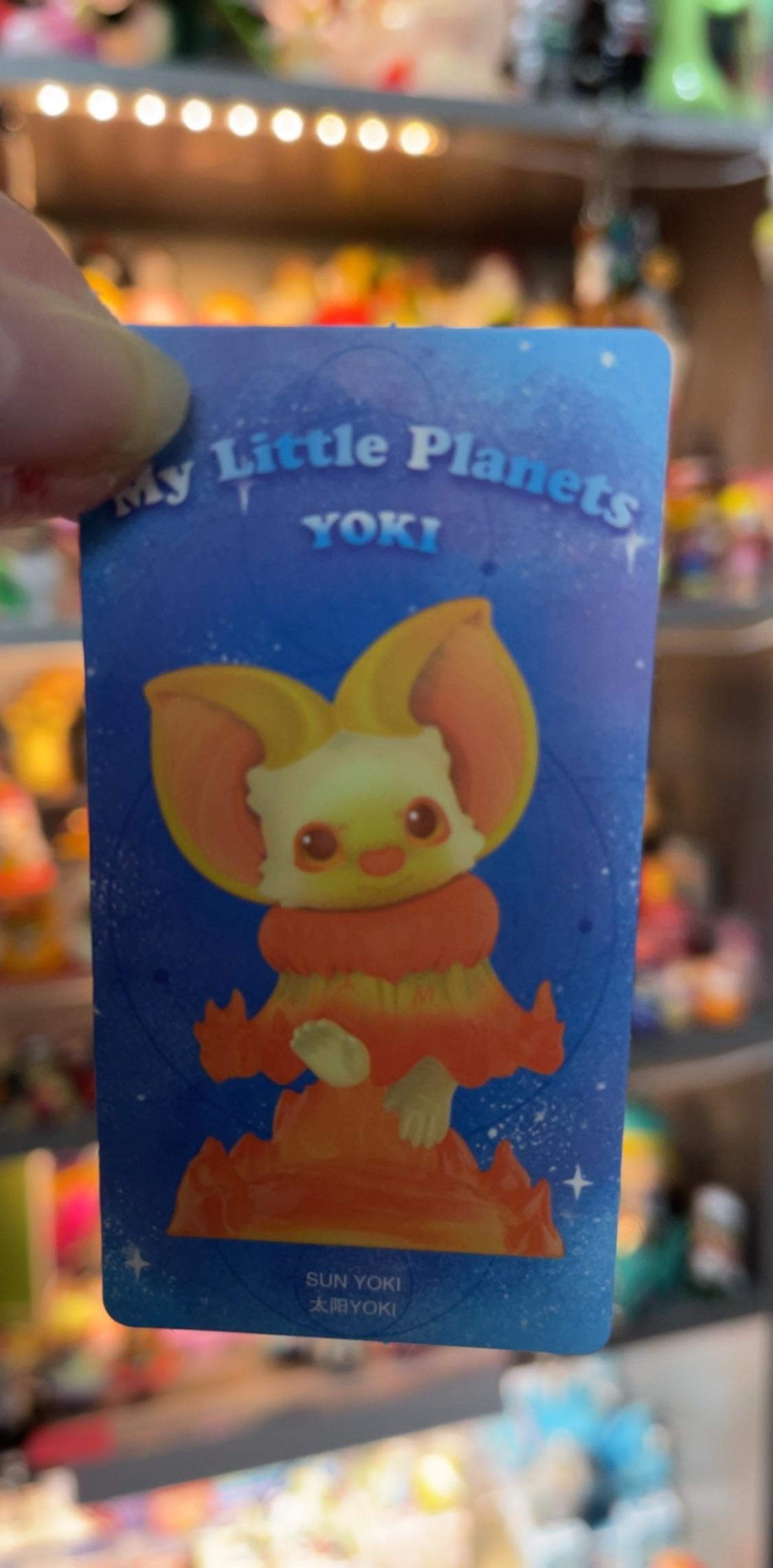 Yoki Sun