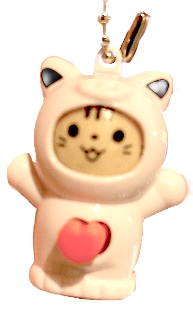 Expressive Pig white with 4 different spinning faces