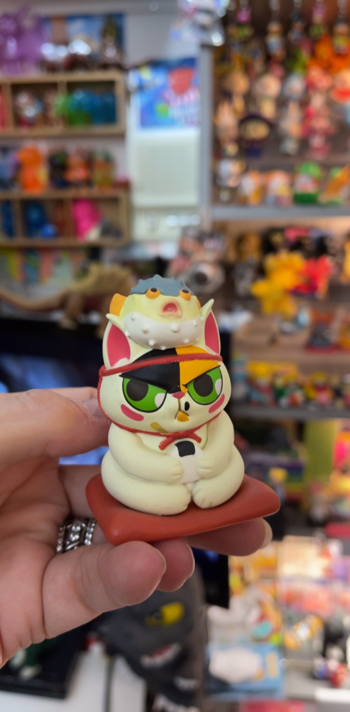 Cat with Puffer fish on head