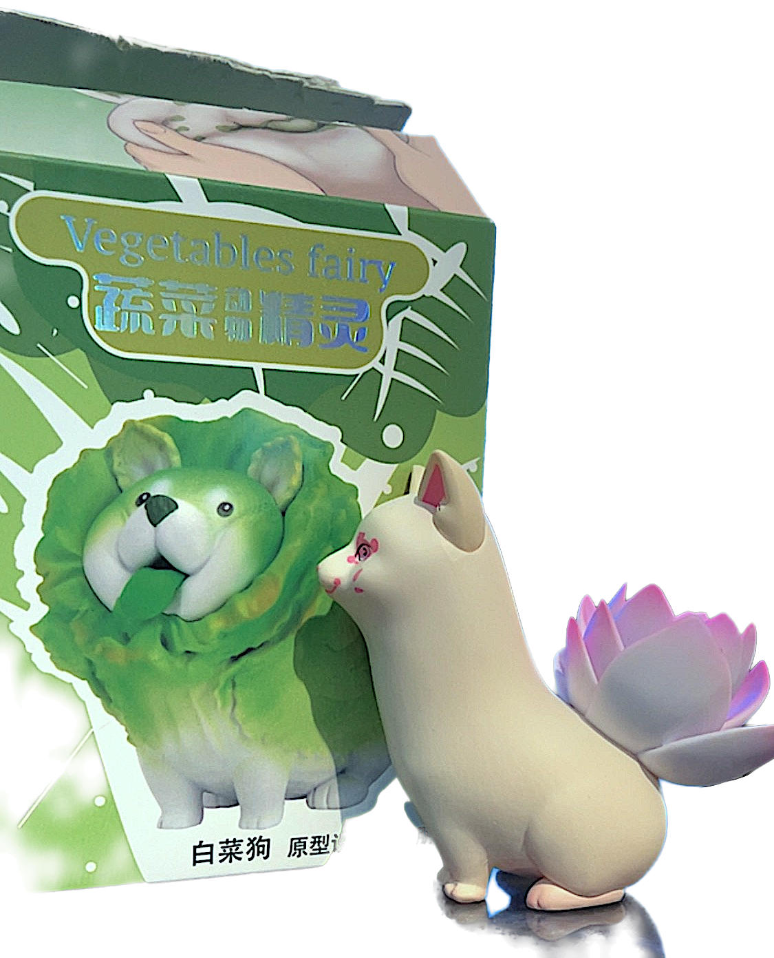 Vegetable Fairy Lotus Root Cat