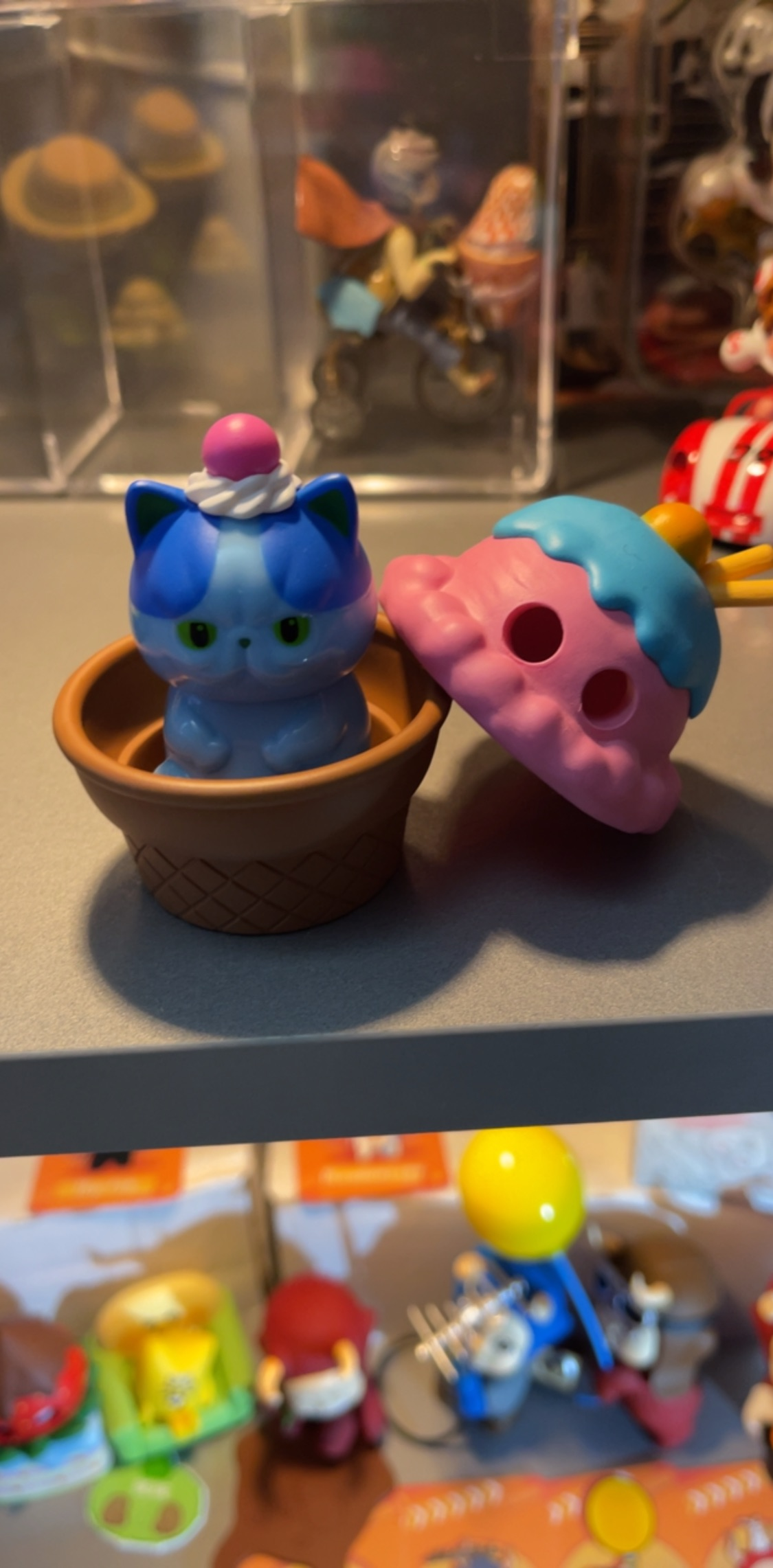 Alyssa’s  blue cat