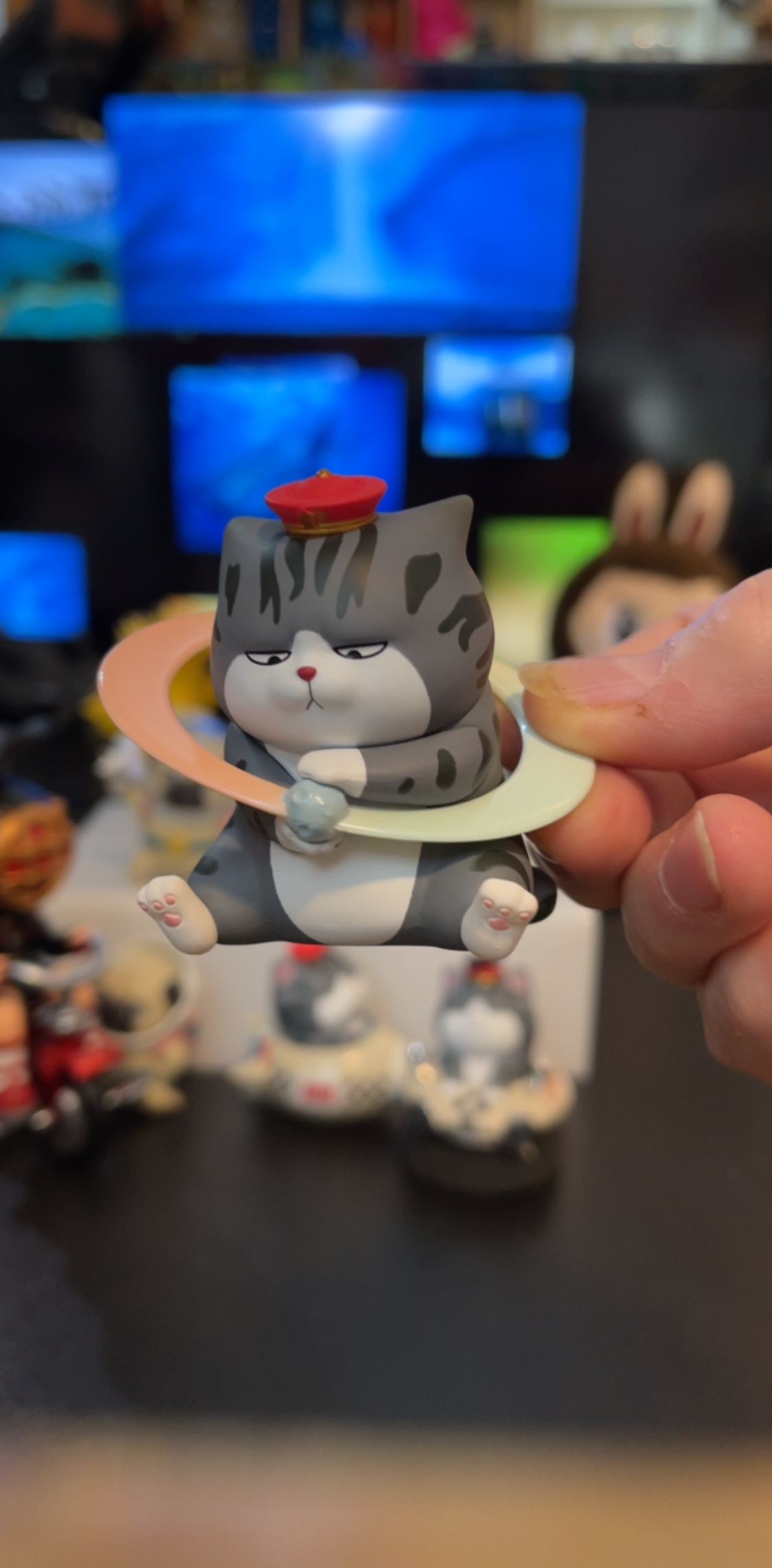 Galaxy Space Cat