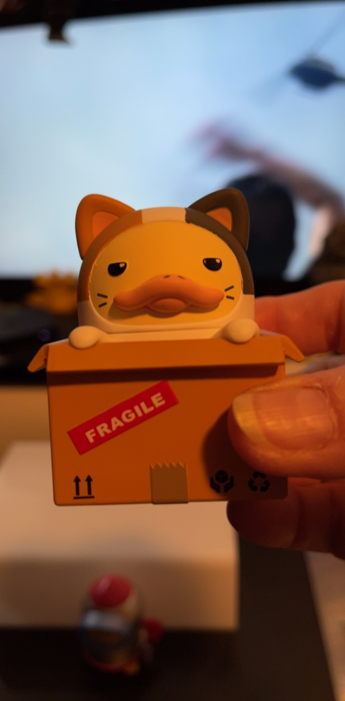 Duckoo Fragile Cat