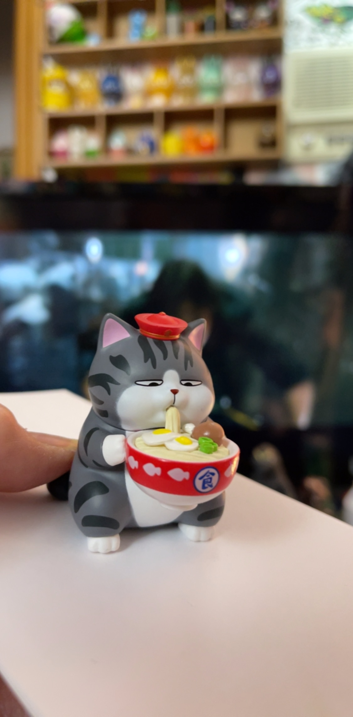 Ramen Cat