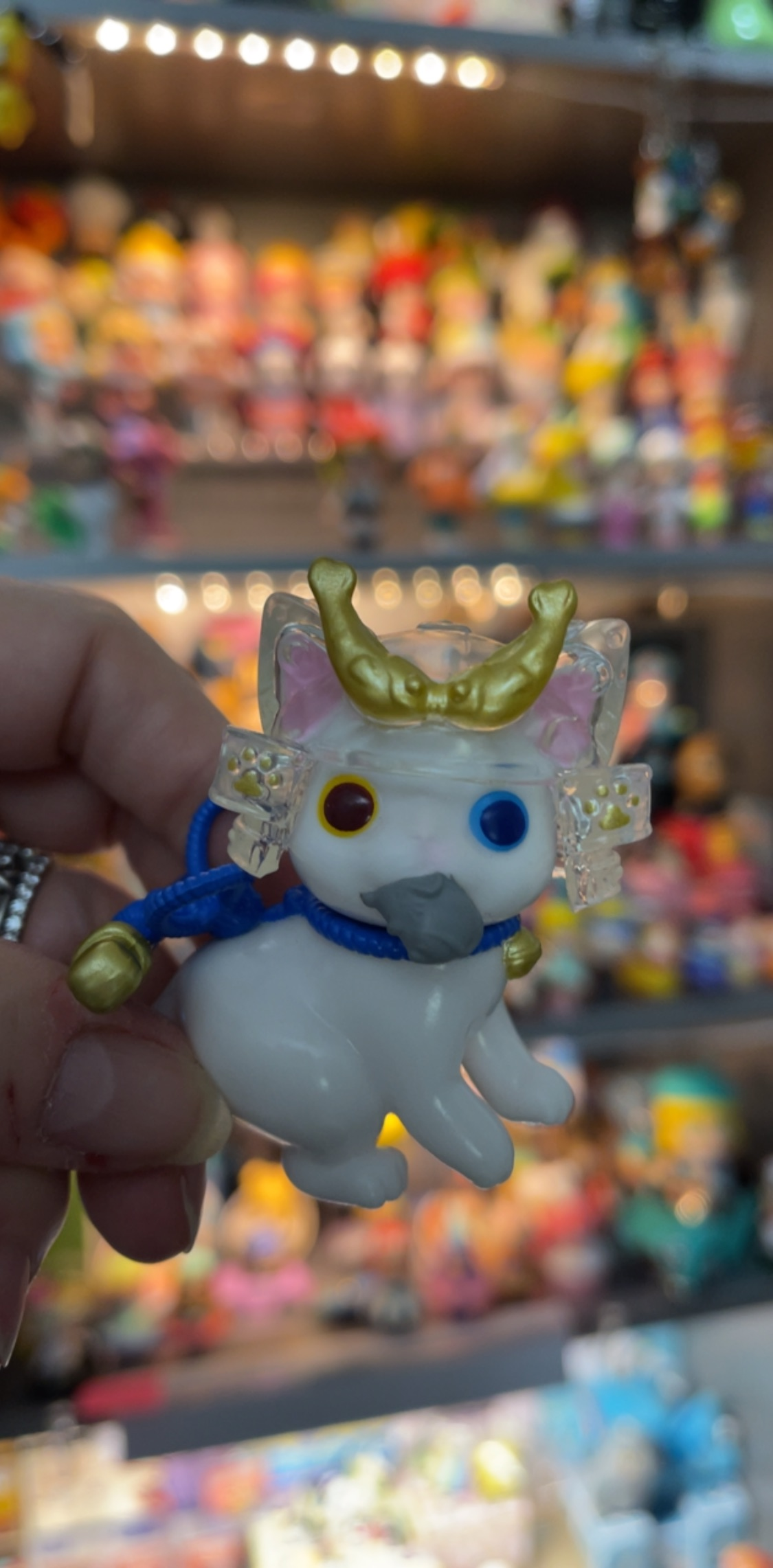 Kathy V Ohonneko white